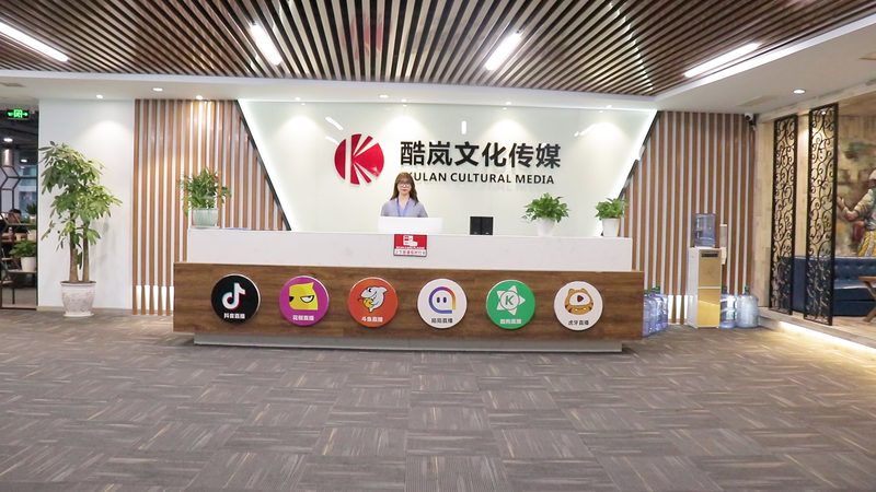 传媒公司品牌优劣势：揭秘行业竞争背后的真相**